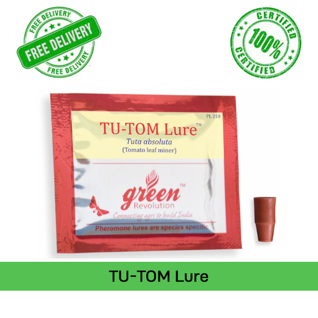 Tu-Tom-Lure-(Pack-of-10)-Green-Revolution
